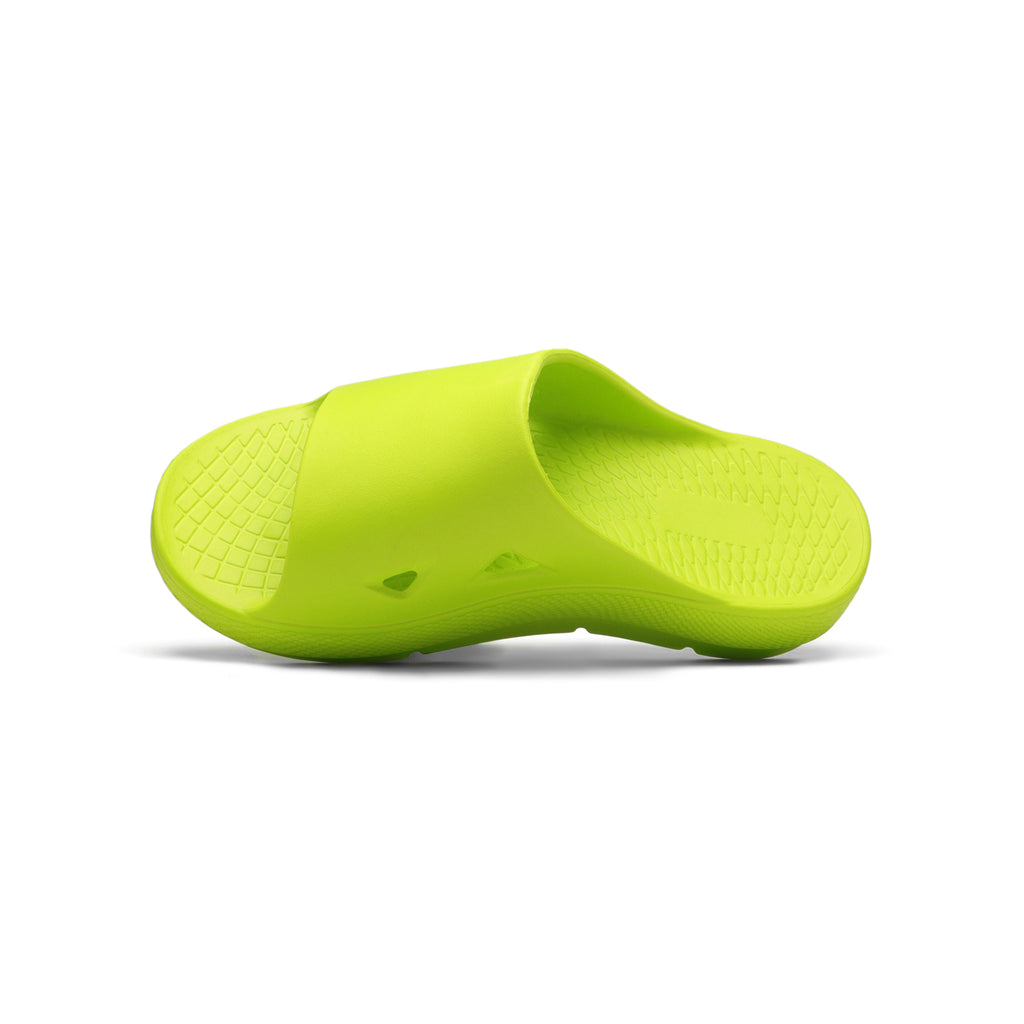 Damian Slides