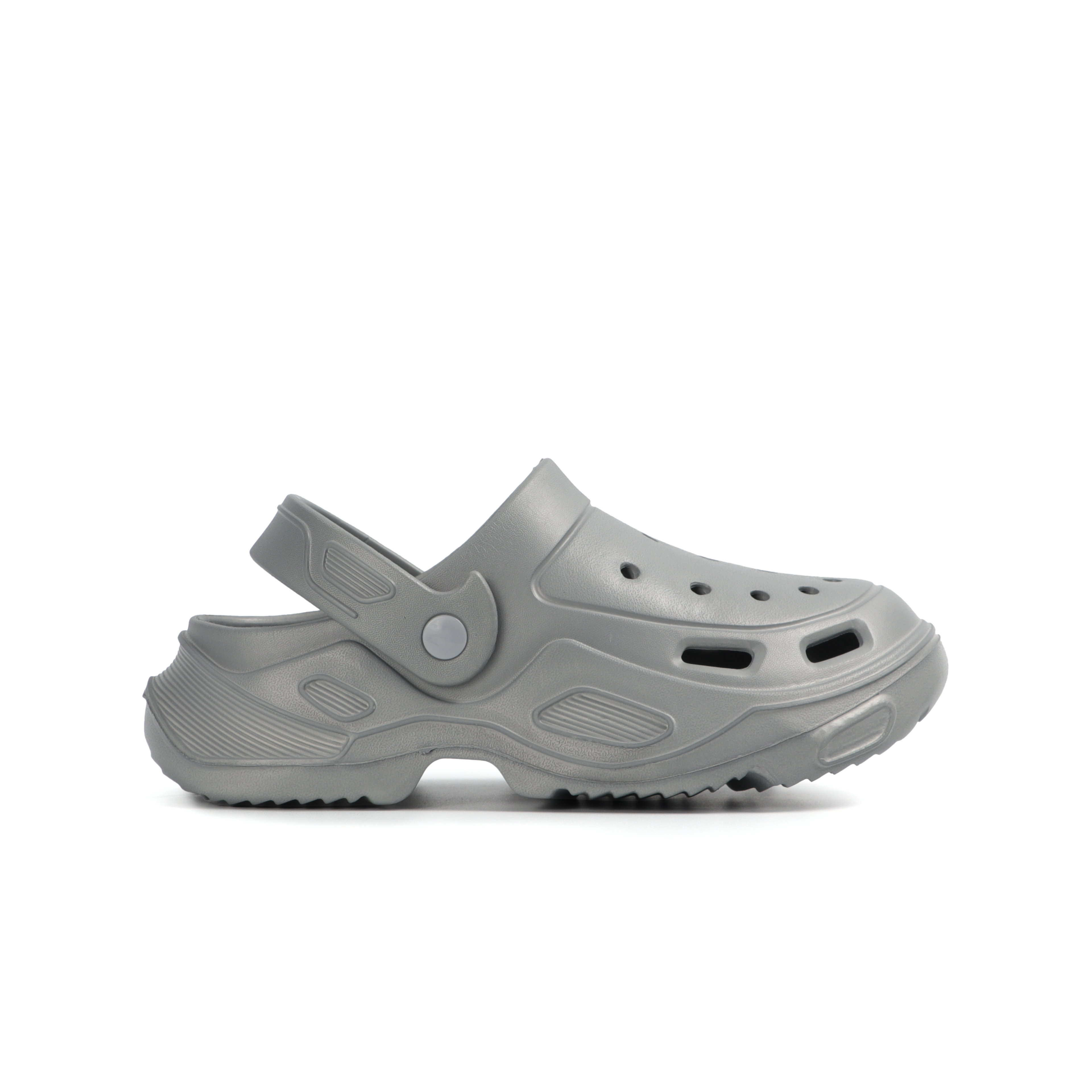 Darwin Slides