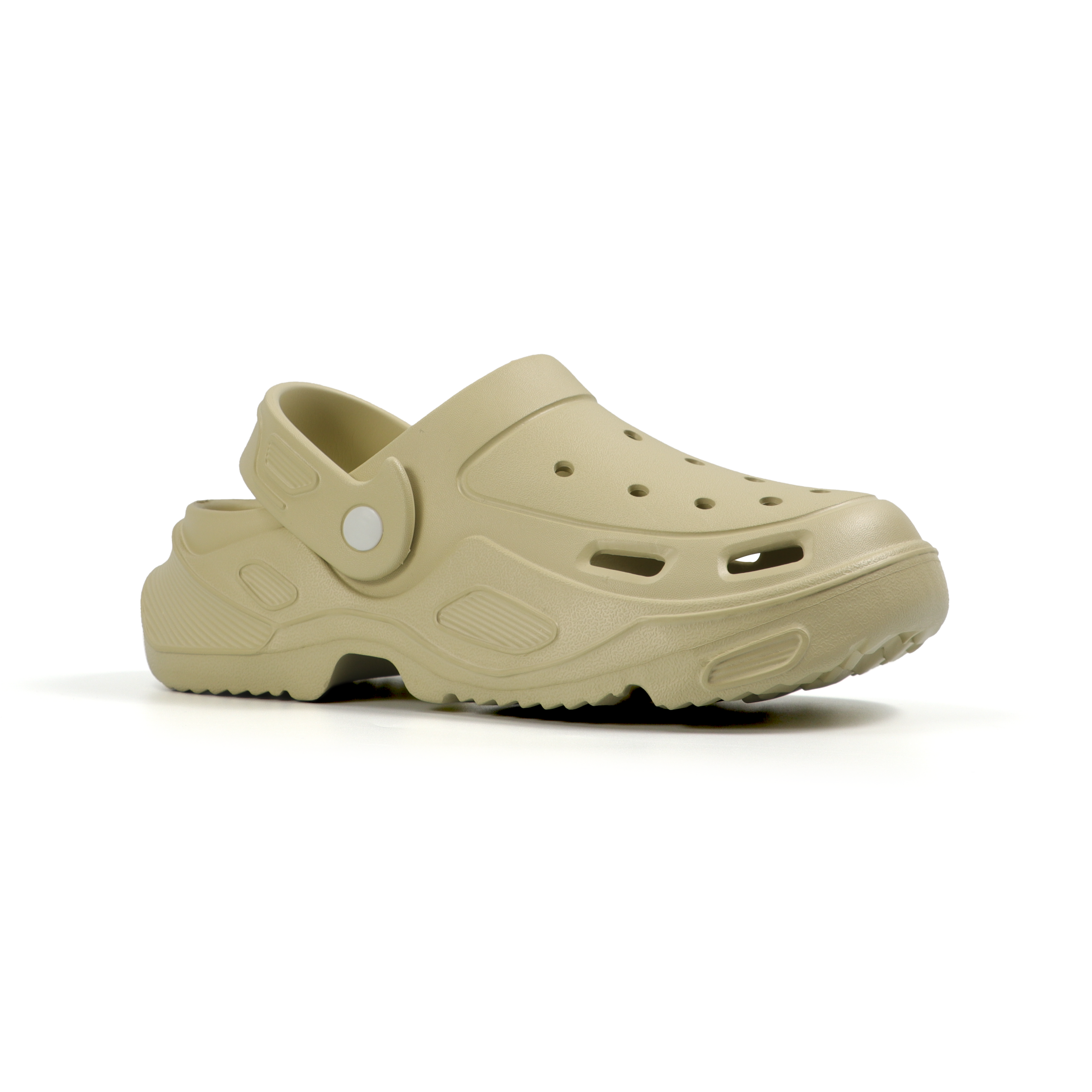 Darwin Slides